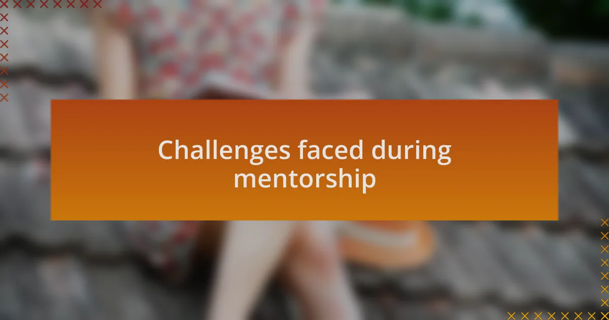 Challenges faced during mentorship