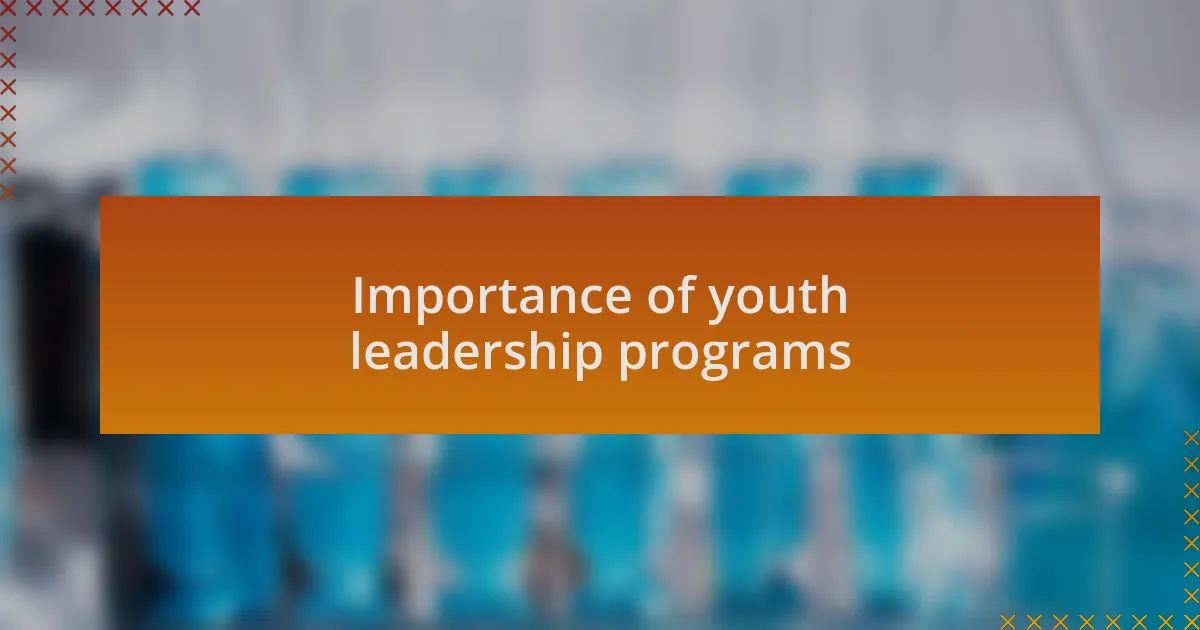 Importance of youth leadership programs